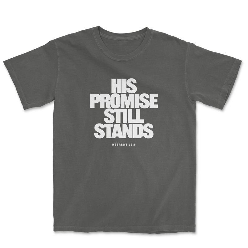 HIS PROMISE STILL STANDS