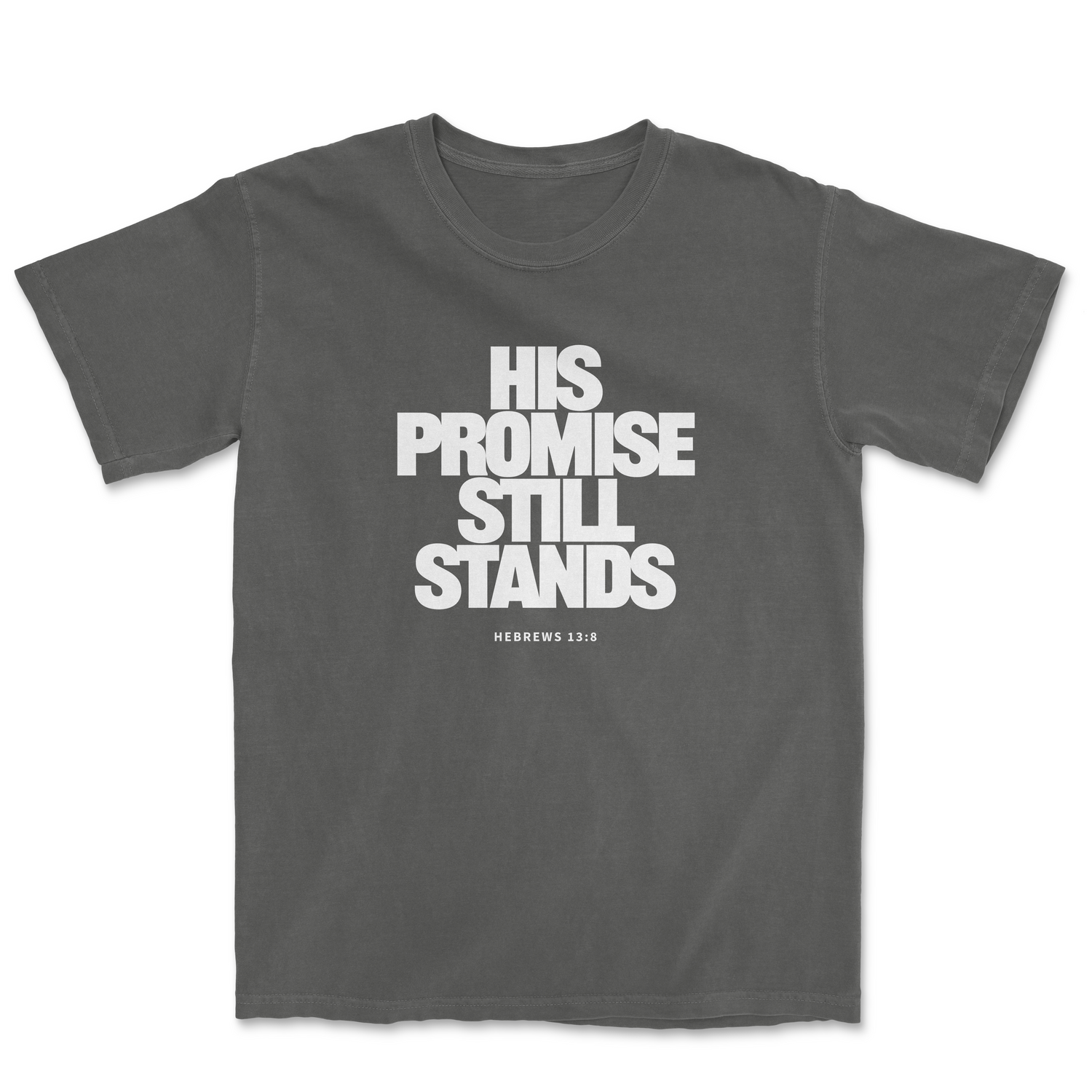 HIS PROMISE STILL STANDS